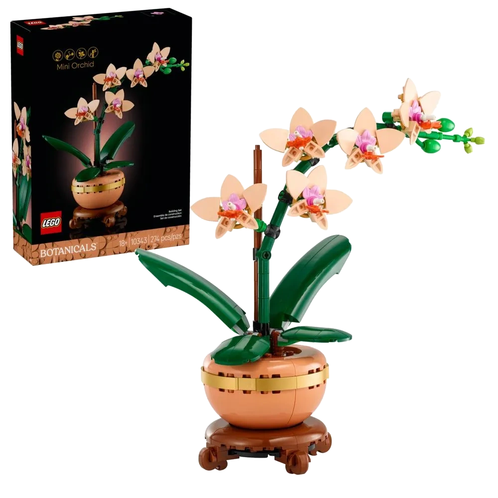 MINI ORQUIDEA