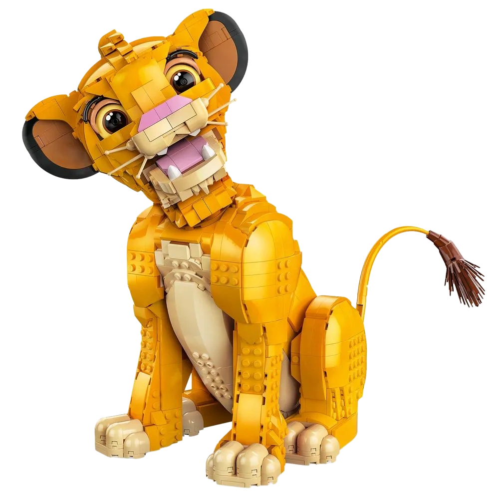Imagem 5