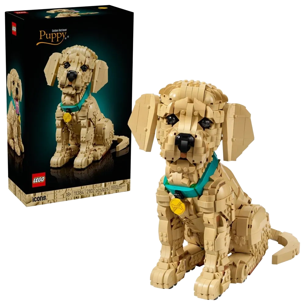 FILHOTE DE GOLDEN RETRIEVER