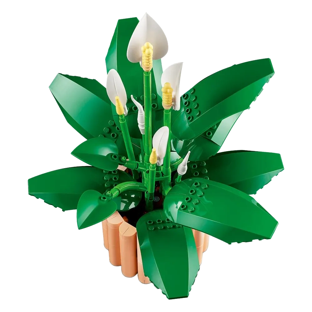 Imagem 2